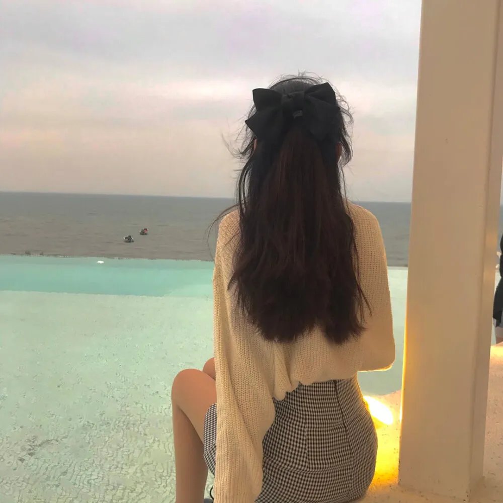 求职记 封面